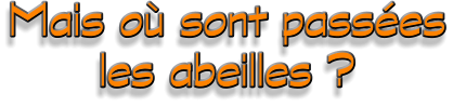 Mais où sont passées les abeilles ?